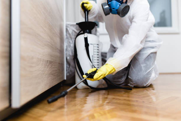 Best Rat Extermination Near Me  in Romancoke, MD