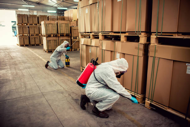 Best Commercial Pest Control Services  in Romancoke, MD