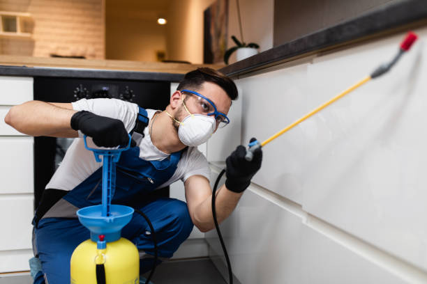Best Termite Control Services  in Romancoke, MD
