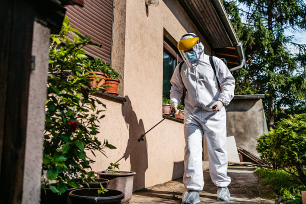 Best Best Pest Control Near Me  in Romancoke, MD
