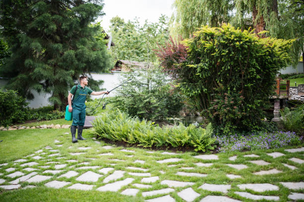 Best Local Pest Control Services  in Romancoke, MD