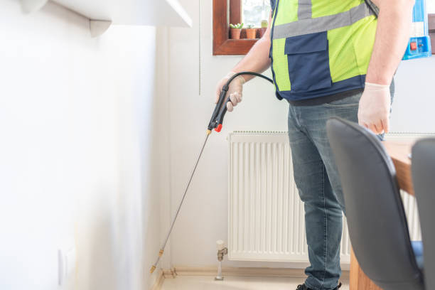 Best Exterminator Services  in Romancoke, MD