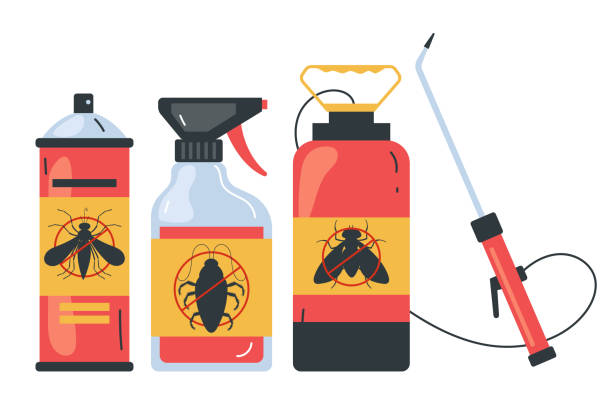Best Bed Bug Extermination  in Romancoke, MD
