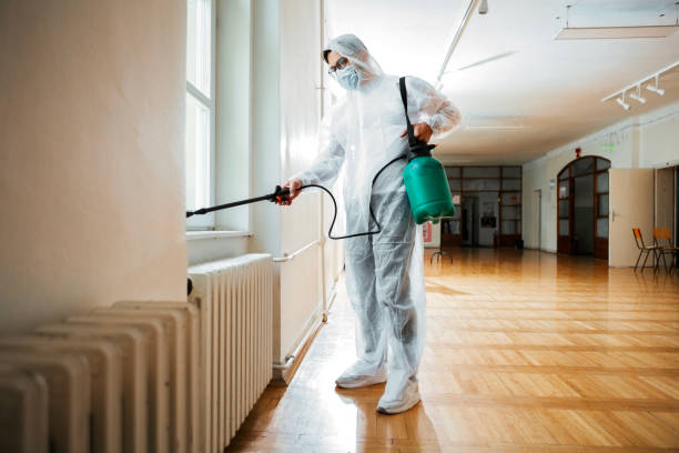 Best Commercial Pest Control Services  in Romancoke, MD